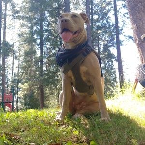 Meet your Posher, Roberto